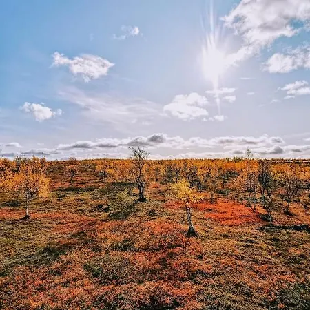 Tunturikelo - Beautiful Log In The Fells Appartement *