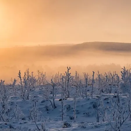 Tunturikelo - Beautiful Log In The Fells * Utsjoki