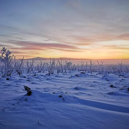 Tunturikelo - Beautiful Log In The Fells * Utsjoki