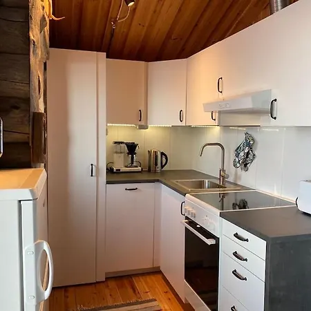 Tunturikelo - Beautiful Log In The Fells *