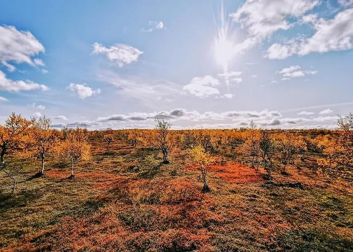 Tunturikelo - Beautiful Log In The Fells 公寓 *