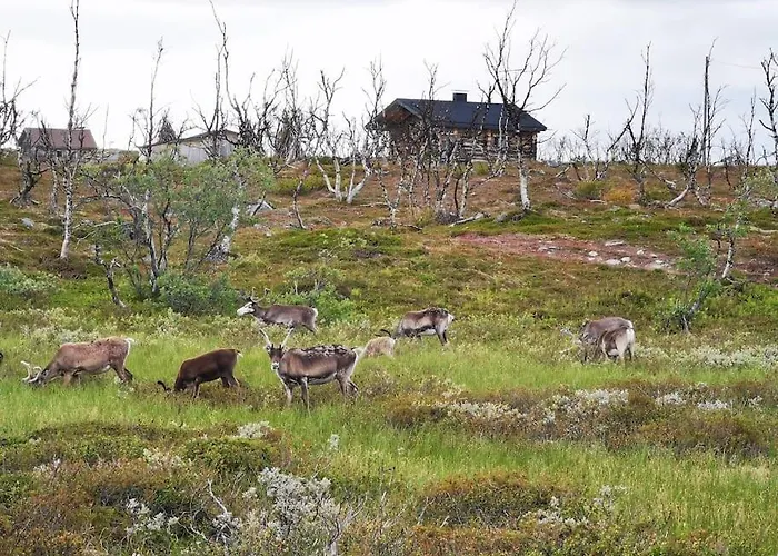 Tunturikelo - Beautiful Log In The Fells 公寓 乌茨约基