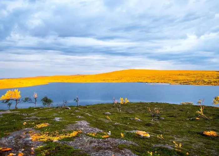 Tunturikelo - Beautiful Log In The Fells 公寓 乌茨约基