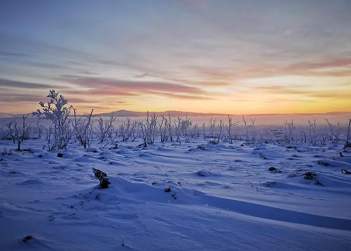 Tunturikelo - Beautiful Log In The Fells * 乌茨约基